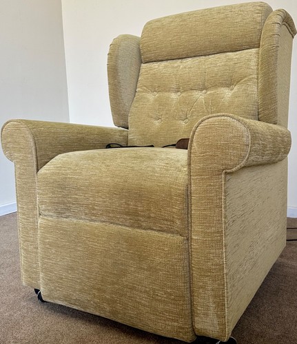 Willowbrook luxury electric - luxury,